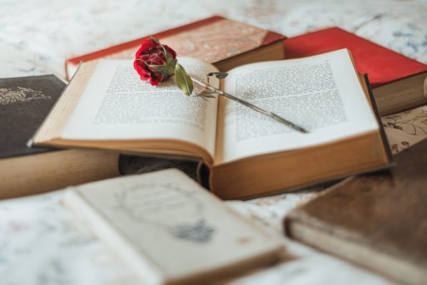 Red rose inside an open book with some other books around